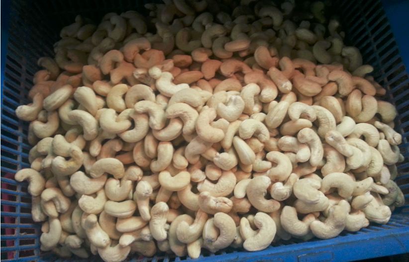 Cashew kernels WW320