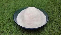 Desiccated Coconut Exporters