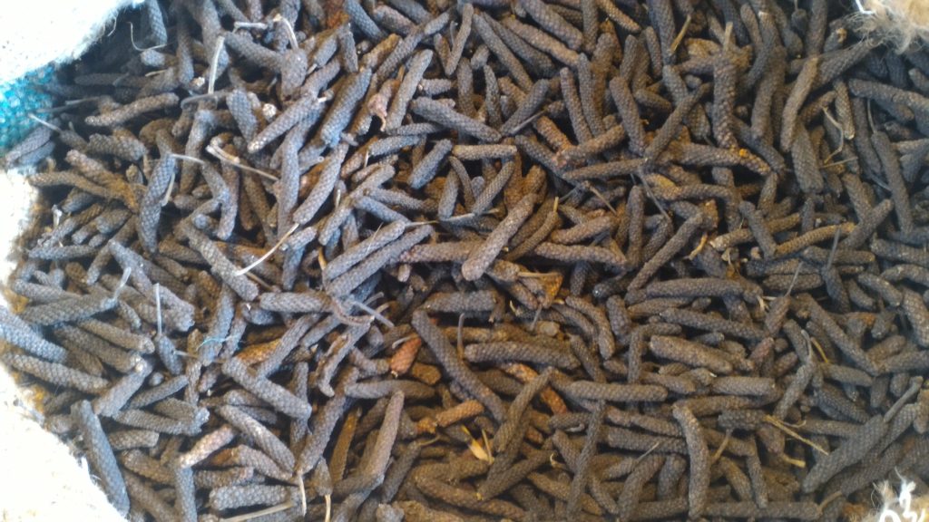 Long Pepper Where To Buy