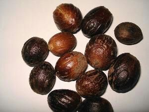 Nutmeg Exporters