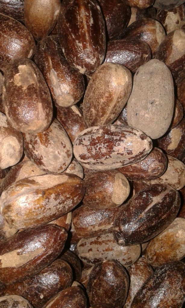 Nutmeg Exporters