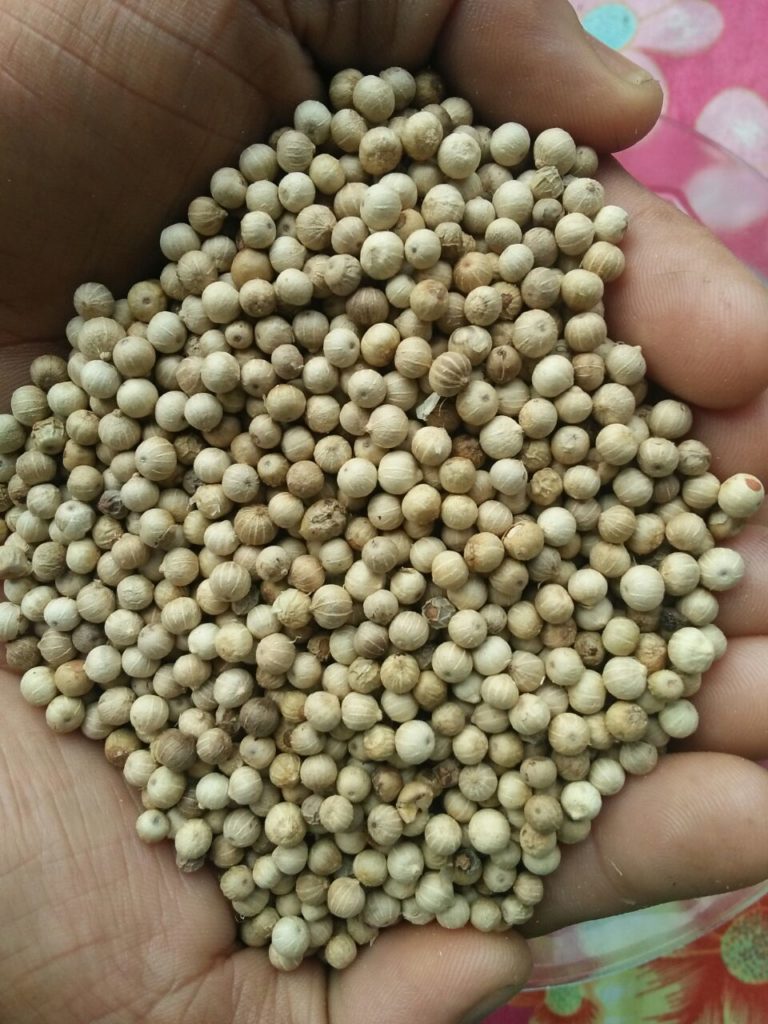 White Pepper